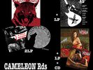ANGEL FACE Wild Odyssey + Sessions + XS LP + VENIN LP + VENIN CD HARD Cameleon