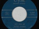 Black Gospel 45 - Sister Harris & the True Lights - Lift Him Up - C&M - mp3