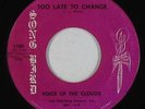 Funk Gospel 45 - Voice Of The Clouds - Too Late To Change - Song Bird - mp3