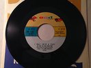 Original END 45 /  THE FLAMINGOS / I Was Such A Fool / NM+
