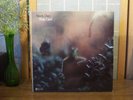 STEELY DAN LP 