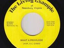 Sweet Soul Gospel 45 - Living Example - What A Privilege - Private - VG++ mp3