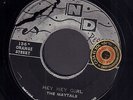 MAYTALS – Hey Hey Girl / Are You Mine (REGGAE VINYL SINGLE 7