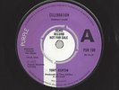 TONY ASHTON Celebration/Sloeback-RARE 1972 Demo/Promo Deep Purple Records 7
