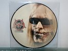 SLAYER JEFF HANNEMAN RARE TRACKS PIC LP PICTURE DISC VINYL THRASH SPEED METAL
