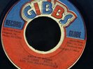 CR14 LEO GRAHAM-HARD TIME-JOE GIBBS REGGAE 45 7