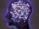 ENTER SHIKARI THE MINDSWEEP NEW SEALED 180G SPLATTER VINYL LP & CD IN STOCK