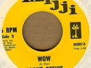 FRONT OFFICE: Wow 45 Mijji psych fuzz raga instro hear