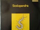 Alluminogeni Scolopendra lp fonit/lpq 09065