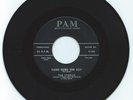 RARE DOO WOP 45 THE LYDELLS THERE GOES THE BOY ON PAM  VG  ORIGINAL 1ST PRESS