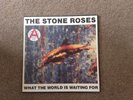 The Stone Roses Vinyl