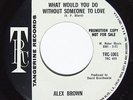 ALEX BROWN Without Someone To Love 45 on Tangerine Northern Soul WLP