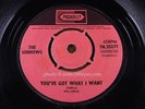 SORROWS = You've Got What I Want = NEAR MINT = PYE 7N 35277 = Beat R&B Dancer Ra
