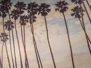 YOUNG GUN SILVER FOX - West End Coast - Vinyl (gatefold LP)