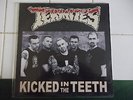 PSYCHOBILLY THE TERMITES KICKED IN THE TEETH