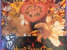 Nirvana ?– Heart-Shaped Box Vinyl 12 inch Single RARE PROMO w/ Unreleased Tracks