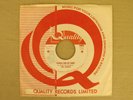The FRINGE 1968 EASTERN GARAGE PSYCH FUZZ 45 