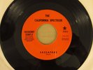 The CALIFORNIA SPECTRUM (WCPAEB) Sassafras 1967 PRIVATE Pop Psych 45 MINT