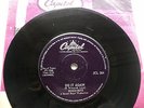The Beach Boys - Do it again / Wake the world   -Rare S.Africa 45 RPM