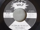 THE CHARMELS As Long As I've Got You VOLT 155 Promo Northern Soul 1967 45rpm