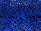 SANTANA-BORBOLETTA (ANIV) (LTD) (OGV)  (US IMPORT)  VINYL LP NEW