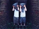 The Temper Trap: Thick As Thieves LP