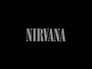 Nirvana - Nirvana (Deluxe Version) Vinyl 2LP NEU 09533185