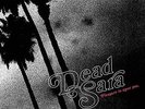 Pleasure To Meet You - Dead Sara (2015, Vinyl New) Explicit Version