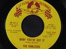DANLEERS: Baby You've Got It / The Truth Hurts 45 Hear  (Northern Soul) Soul
