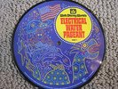 Walt Disney World's Electrical Water Pageant Picture Disc Mickey Mouse Small Wor
