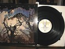 Burning From the Inside Bauhaus 1983 A&M peter murphy tones on tail w/lyric NM