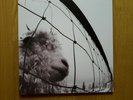 PEARL JAM Vs. 180 gr. Vinyl