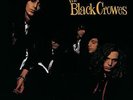 THE BLACK CROWES - Shake Your Money Maker - 180 Gram Vinyl - New. Sealed.