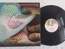 STRING DRIVEN THING the machine that cried  lp / prog psych folk rock , charisma