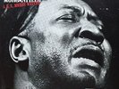 Muddy Waters: McKinley Morganfield AKA Muddy Waters-1971 1st Edition Promo LP