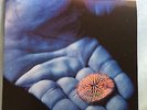 Coldplay - The Blue Room EP 2x7
