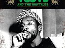 Pressure Drop: The Golden Tracks [VINYL] Toots & The Maytals Vinyl