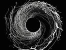 Dawn Of Midi ?– Dysnomia SEALED Erased Tapes 2xLP VINYL EXPERIMENTAL