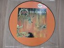 Slayer - Hell Awaits ORG Lim. Num. Picture Disc 1985  Sodom,Kreator,Death,Razor