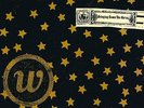 WALLFLOWERS**BRINGING DOWN THE HORSE (20TH ANNI)**2 VINYL SET