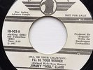 Jimmy Soul Clark  -  I'll be your champion  -  Soulhawk  Wd  Original