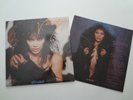 RARE 1ST PRESS 1984 PRINCE VANITY WILD ANIMAL USA VINYL RECORD LP ALBUM MINT