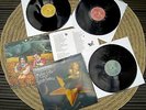 Rar VINYL 3 LP mit Booklet/ The Smashing Pumpkins/ Mellon Collie/ RE/ exzellent