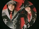 The White Stripes Icky Thump RARE 2007 Third Man/Warners PROMO Picture Disc 45