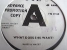 HAYES & WADEY   WHAT DOES SHE WANT ** 1966 PYE 45 PROMO LOS BRAVOS