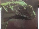 *SEALED* IGUANA [S/T] LION LN 1011 RARE PSYCH PROG