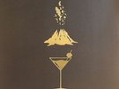 KILLS, The - Ash & Ice - Vinyl (2xLP + MP3 download code)