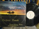 PERFECT TOUCH TOUCHING YOU DETROIT PRIVATE PRESS MODERN SOUL LP PERFECT PT-202