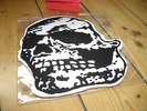 Orchid Jeromes Dream ?SHAPED SKULL 10