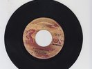 FEDERAL/ WHEN I COME HOME  -  THE SLICKERS  (72  REGGAE ROCKERS 7
